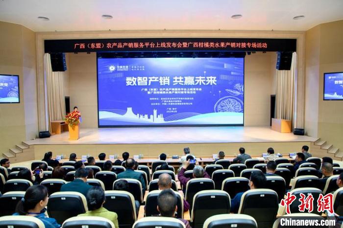 图为活动现场。　于淼 摄