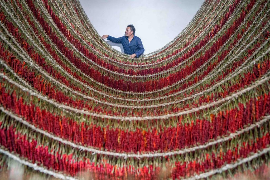 在贵州省毕节市大方县理化乡金鸡村,村民查看辣椒烘干情况。新华社发 罗大富摄