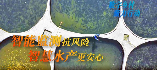 【数字乡村聚力行动】智能监测抗风险 智慧水产更安心